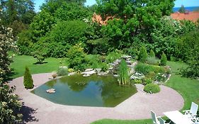 Solrosen i Simrishamn - Österlen